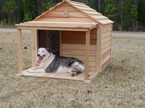 built dog houses