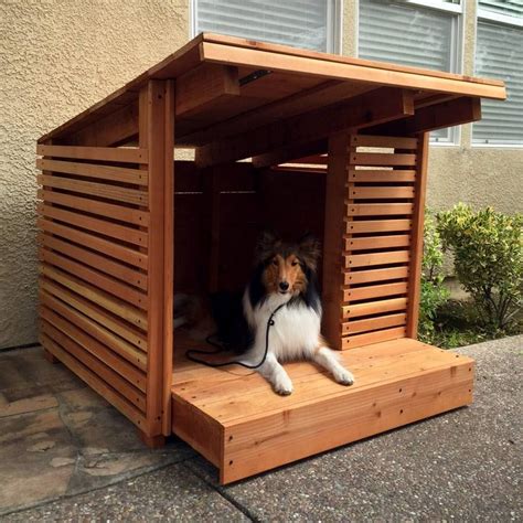 dog house custom built