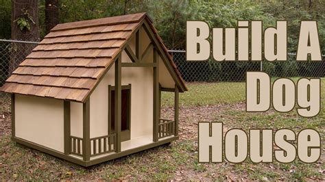 a house built for dogs