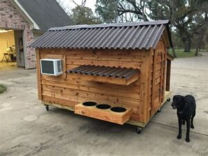 custom built dog houses