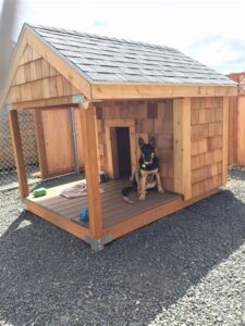 dog house built